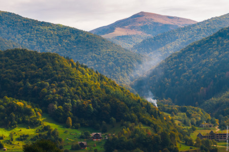 Кваси - фото