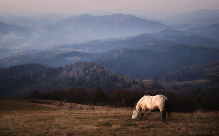 Національний природний парк Сколівські Бескиди - фото