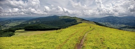 Пікуй - фото